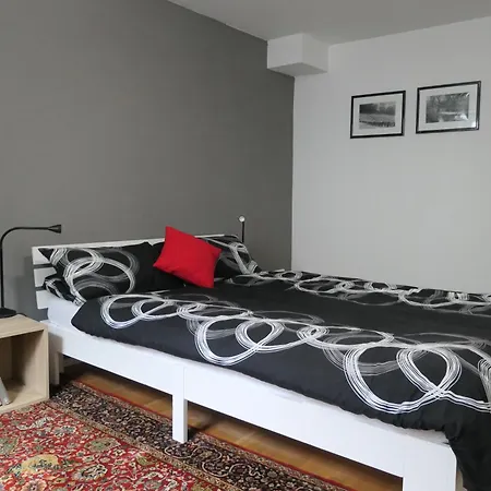 Wohnen Am Trierer Moselufer Apartamento